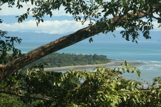 Set in a private nature reserve spread over 1,000 acres of Central America's last remaining lowland tropical rainforest in Costa Rica, Lapa Rios Ecolodge overlooks the pristine point where the Golfo Dulce meets the wild Pacific Ocean. There are no guardrails or path monitors, so there is a bit of danger mixed with paradise.